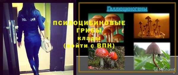 эйфоретик Абаза